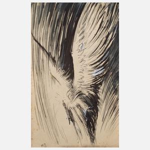 Reinhard Rudolf Junghanns, Lichtbringer