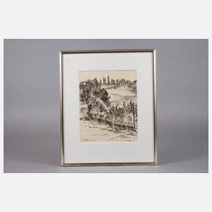 Fredo Bley, Vogtlandlandschaft