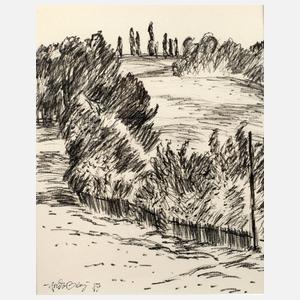 Fredo Bley, Vogtlandlandschaft