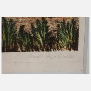 Hugo Eichler, ”Im Vogtland”