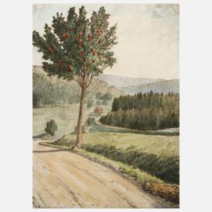 Hugo Eichler, Neumühlental