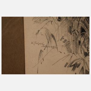 Kurt Geipel, ”Das Dschungel-Ungeheuer”