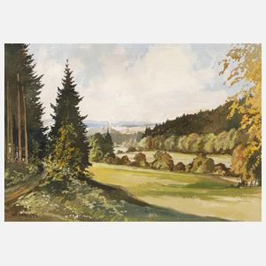 Walter Harpel, Sommerliche Vogtlandlandschaft