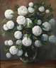 W. Kiessling, Schneeballblumen in Glasvase