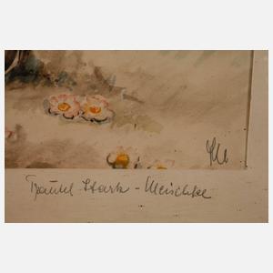 Traudel Meischke, ”Freude an der Natur”