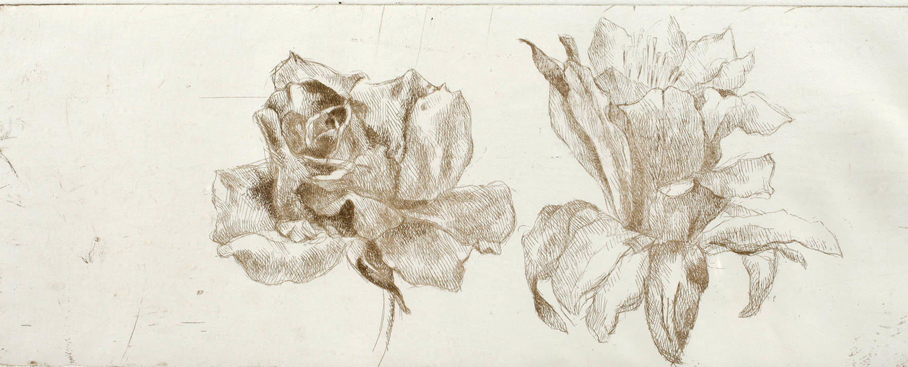 Stefanie Pojar, Blumenstück