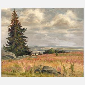 Wolfgang Sachs, Sommerlandschaft