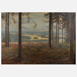 Albin Schlehahn, abendliche Vogtlandlandschaft