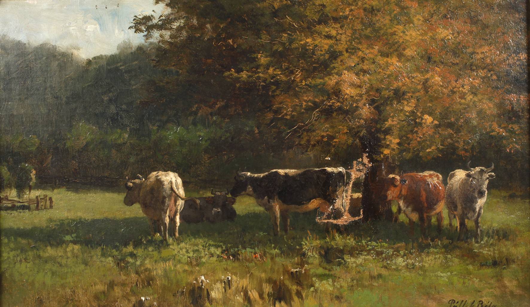 Béla Pallik, Rinder auf der Weide