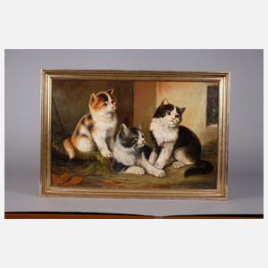 K. Fischer, Katzenbild