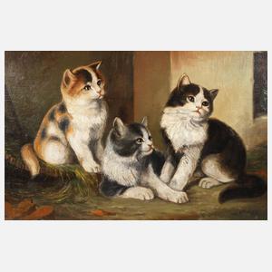 K. Fischer, Katzenbild