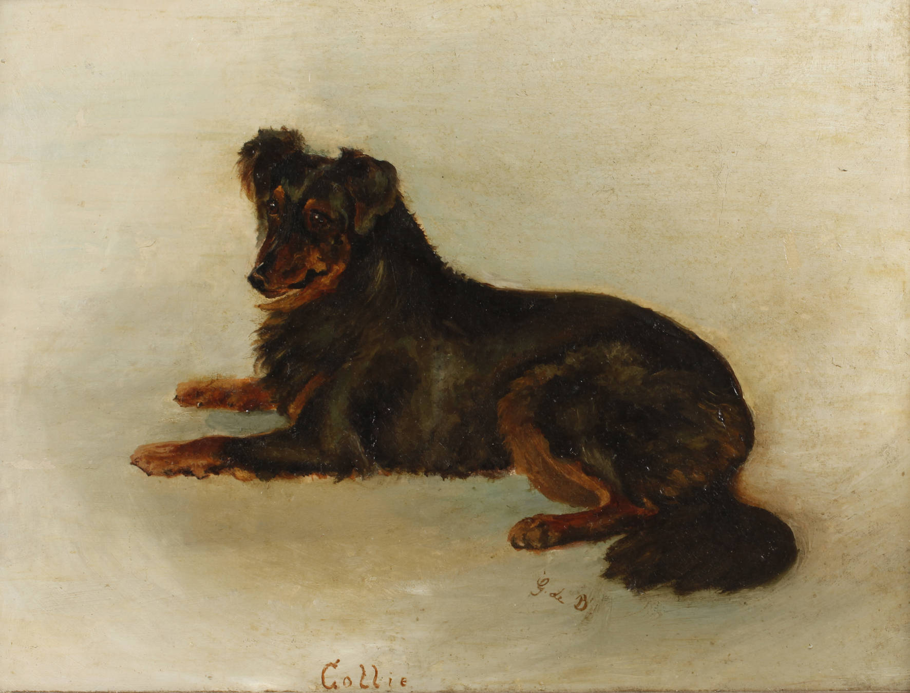 Hundeportrait ”Collie”