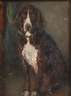 Hundeportrait
