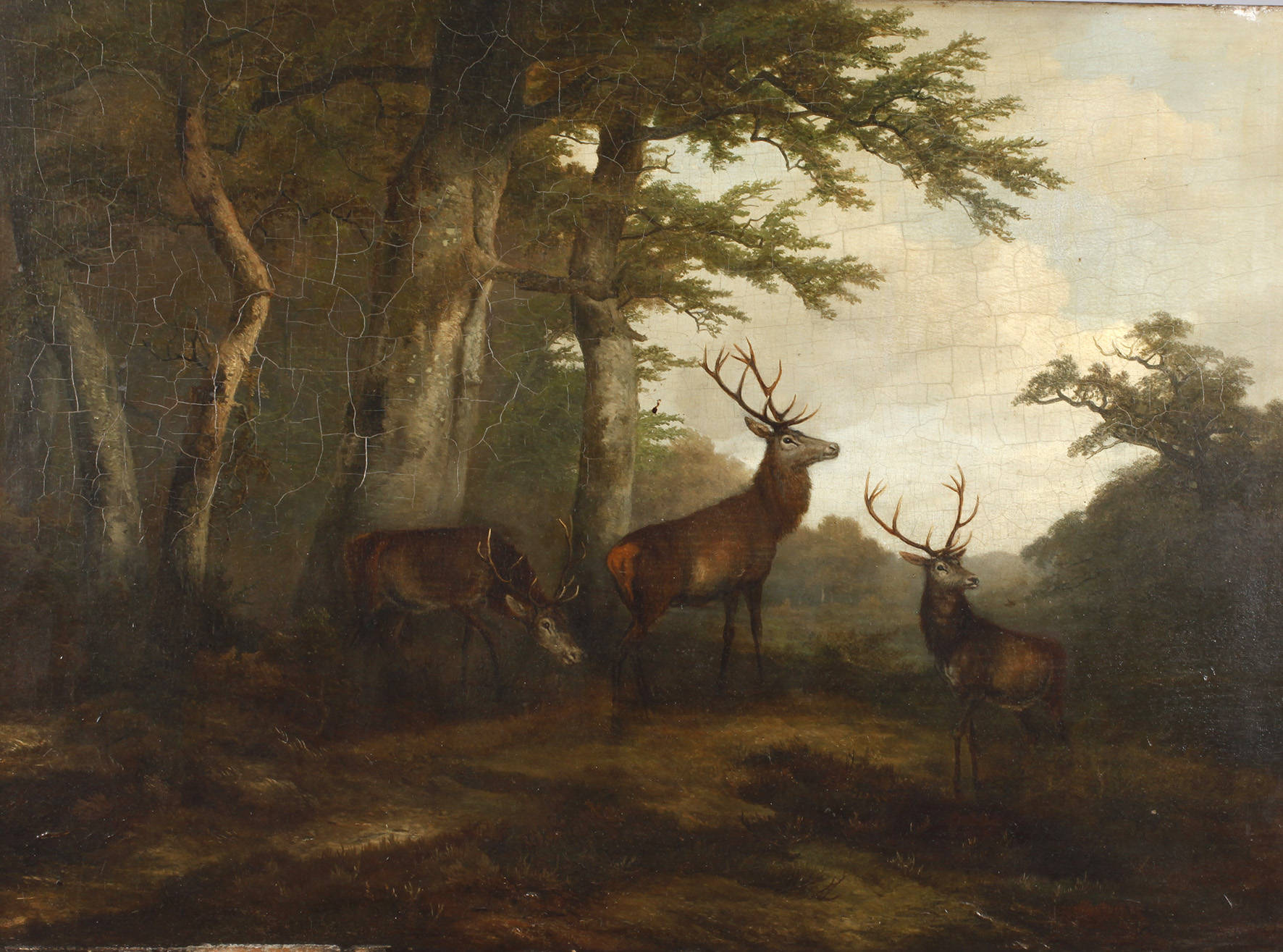 Georg Höhn, Hirsche in Waldlandschaft