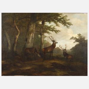 Georg Höhn, Hirsche in Waldlandschaft