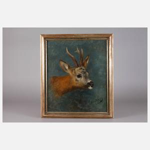 Prof. Josef Schmitzberger, Rehkopf