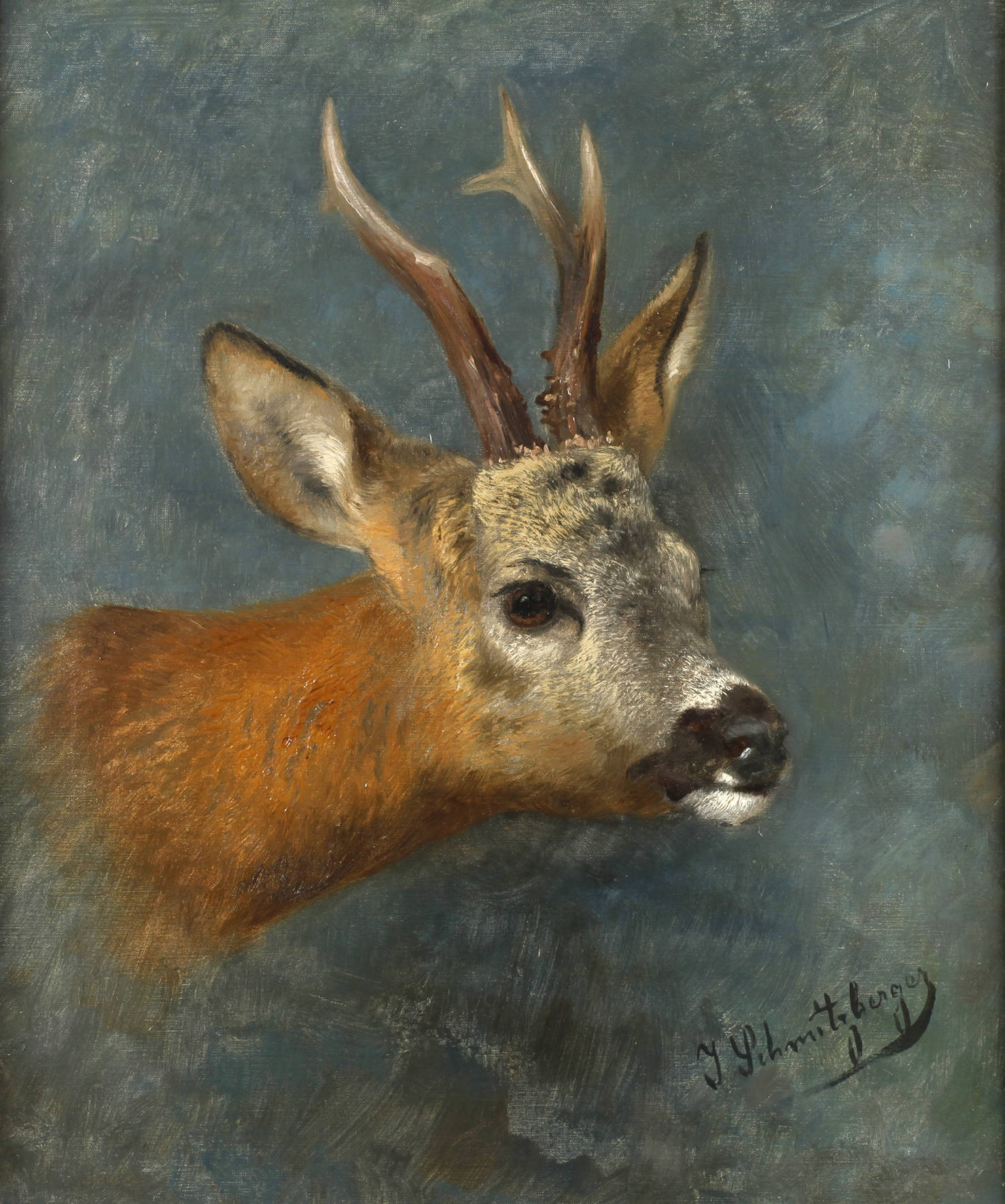 Prof. Josef Schmitzberger, Rehkopf