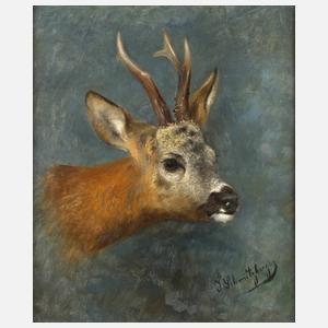 Prof. Josef Schmitzberger, Rehkopf