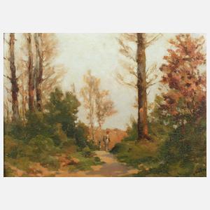 D. Avin, Wanderer im Herbstwald