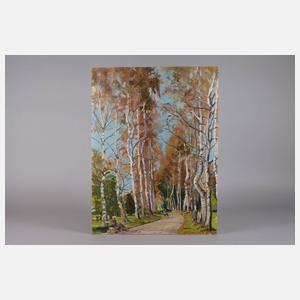 Sommerliche Birkenallee