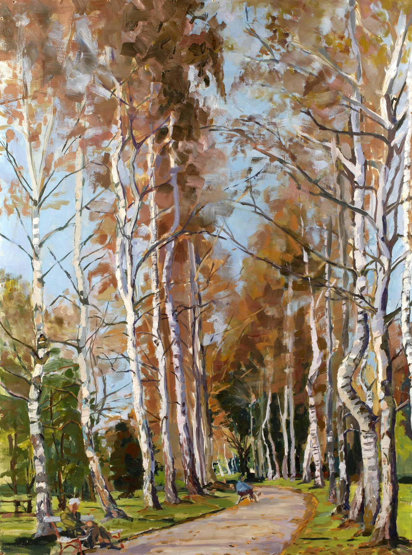 Sommerliche Birkenallee