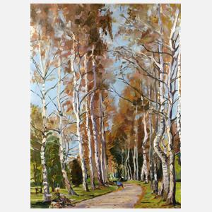 Sommerliche Birkenallee