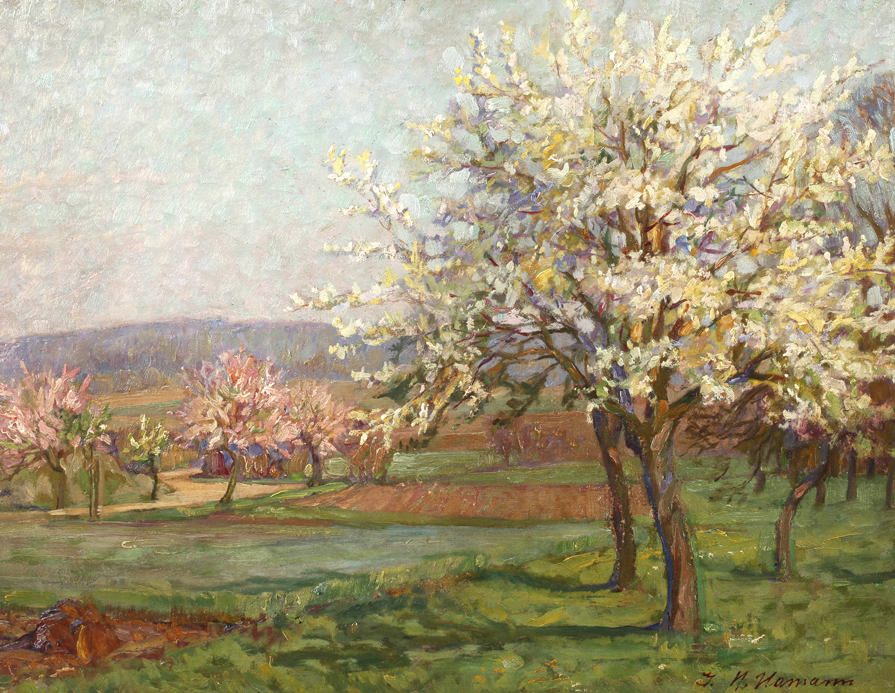 Hermann Hamann, Apfelblüte
