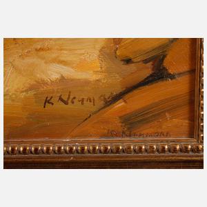 K. Neumann, sandiger Flusslauf