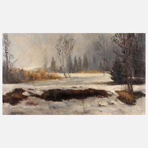 Max Baer, ”Chruzele Moos im Winter”