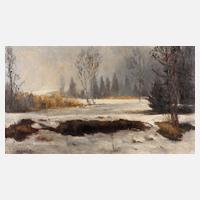 Max Baer, ”Chruzele Moos im Winter”111