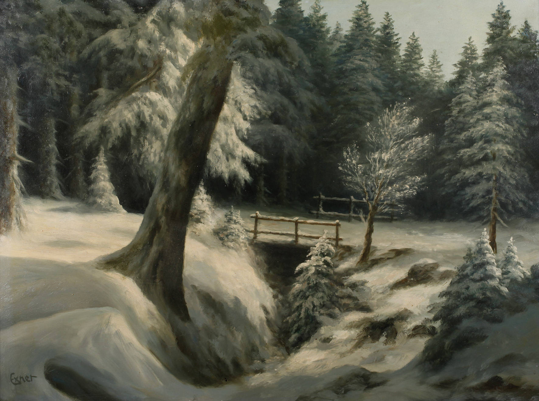 Exner, nächtlicher Winterwald