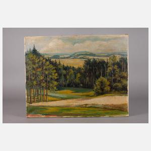 Willi Lass, ”Blick vom Hohenstein”