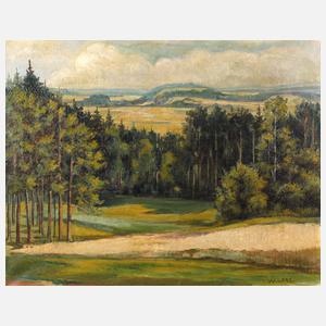 Willi Lass, ”Blick vom Hohenstein”