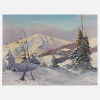 K. Schäfer, Blick zur Schneekoppe111