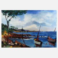 Sommerliche Küstenlandschaft111