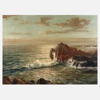 Küstenlandschaft111