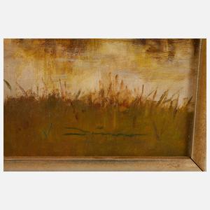 Ansicht von Regensburg