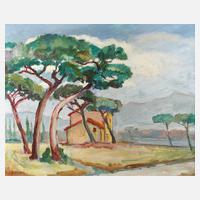 Albert Schellerer, ”Monte Argentario”111