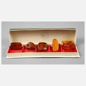 Schatulle mit Bernsteinproben SBM