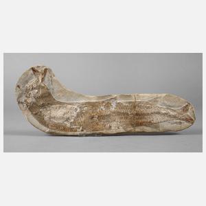 Versteinerter Knochenfisch