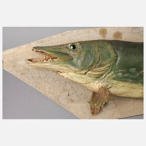 Große Anglertrophäe