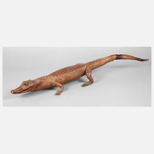 Tierpräparat Kaiman