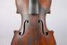 Violine