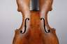 Violine