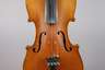 Violine