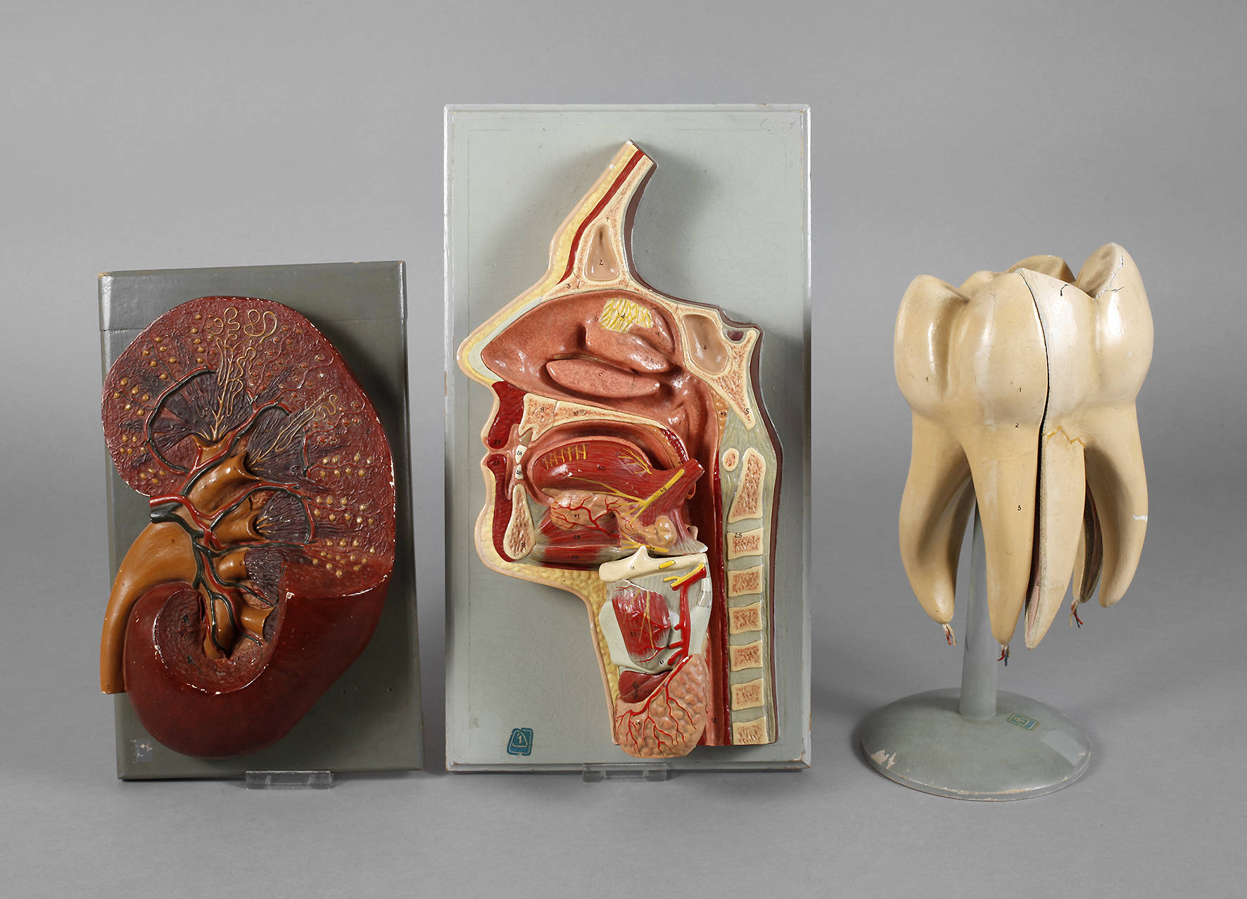 Drei Anschauungsmodelle