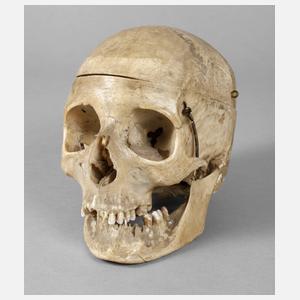 Totenschädel