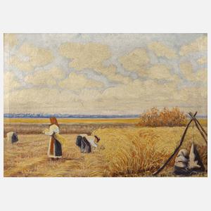 Russische Erntelandschaft