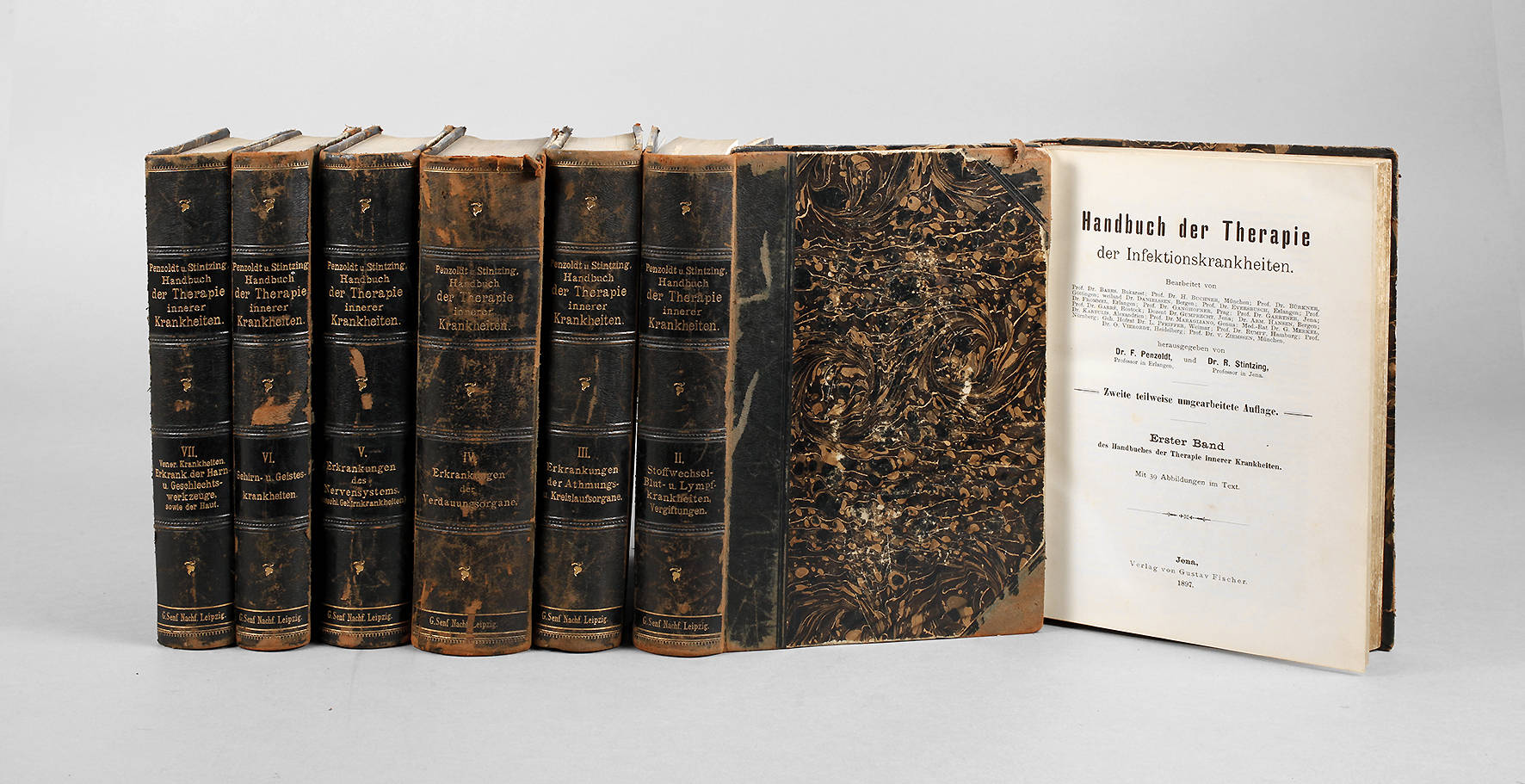 Handbuch der Therapie