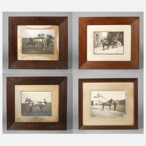 Vier Pferdefotografien